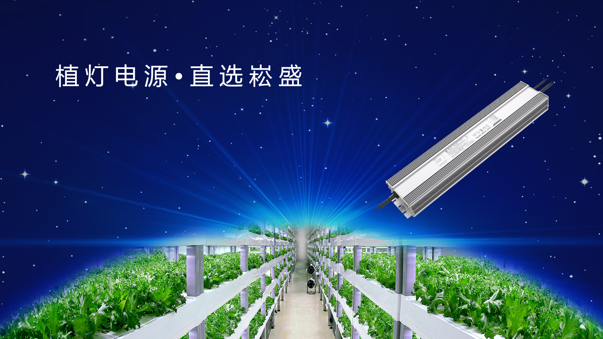 追光而行 ▏做植物照明驱动者，，让未来农业绽放无限可能
